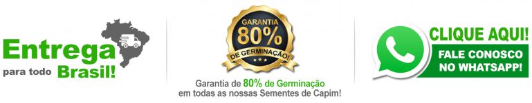 agnaldo sementes entrega todo brasil